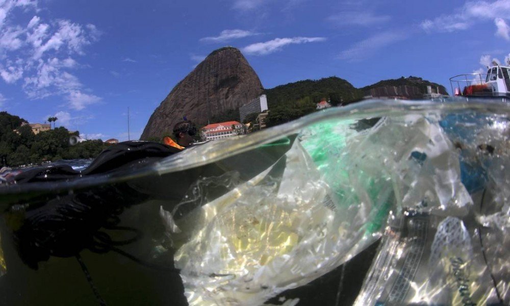 'Estuário da Baía de Guanabara tem uma das maiores concentrações de microplástico do mundo', afirma bióloga