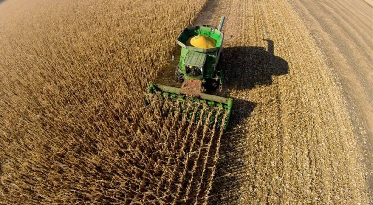 Desgaste de imagem na área ambiental pode afetar agronegócio brasileiro