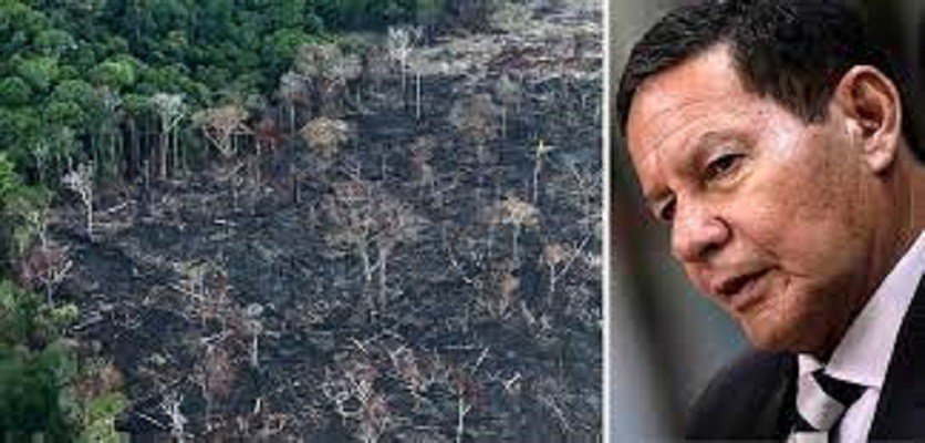 Segundo analista, Mourão diverge de Bolsonaro sobre dinheiro para preservação ambiental