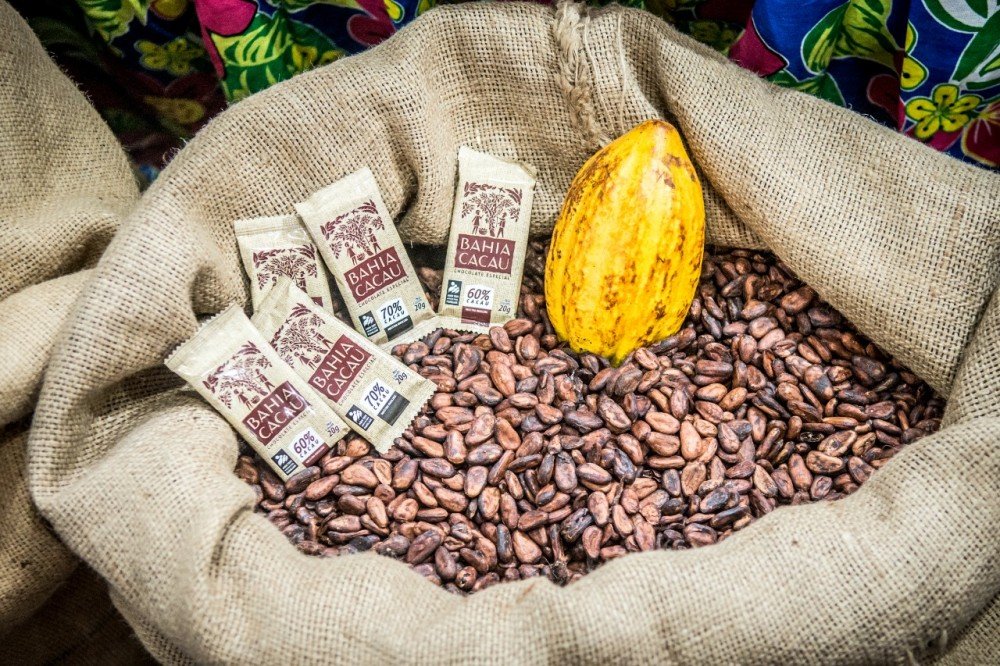 Cresce a aceitação de chocolates da agricultura familiar