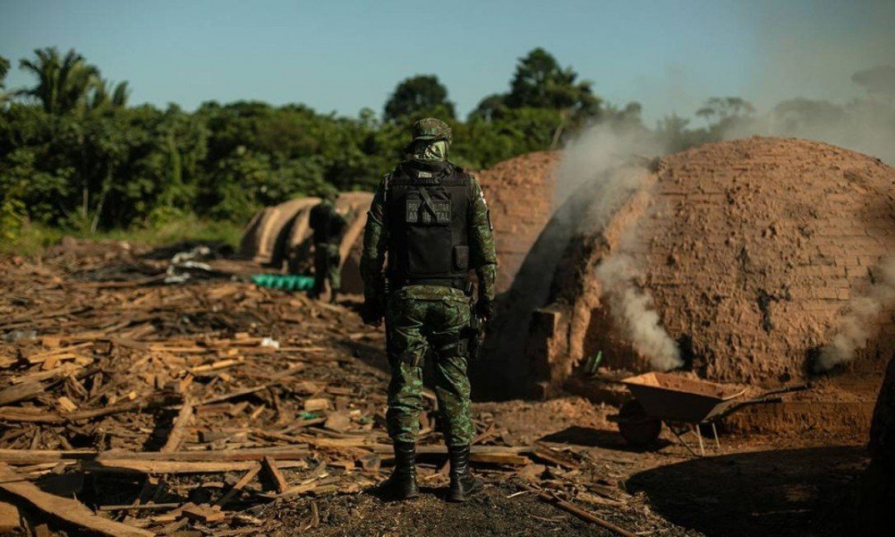 Amazônia sofre devastação com a falta de fiscalização