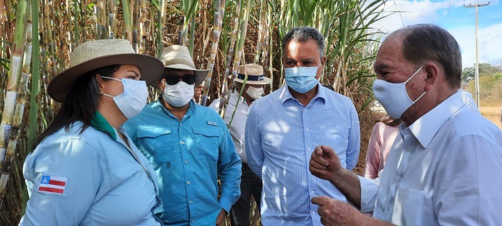 Polo Agroindustrial do São Francisco: governador e vice visitam primeira usina sucroalcooleira