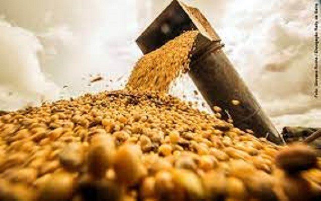 A importação da soja brasileira pela China cresce 82%