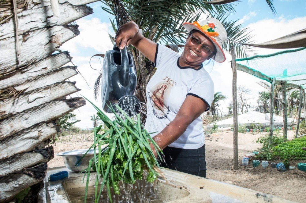 Seguro Garantia-Safra é pago a cerca de 215 mil agricultores que aderiram ao programa