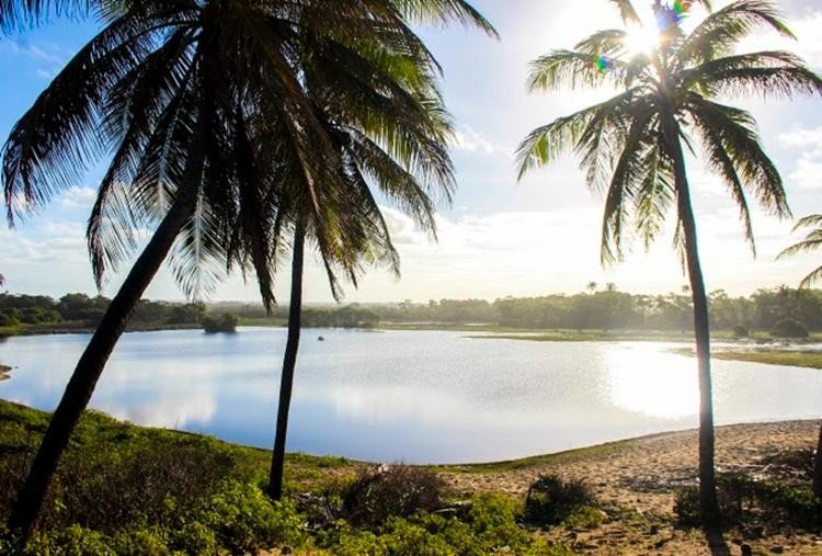 Conde recebe Festival do Coco até o próximo domingo