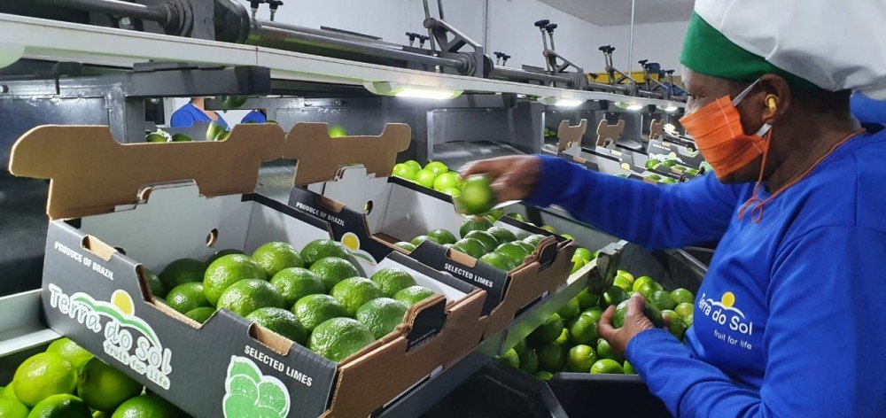 Governo do Estado aposta em vocação frutícola de Itaberaba