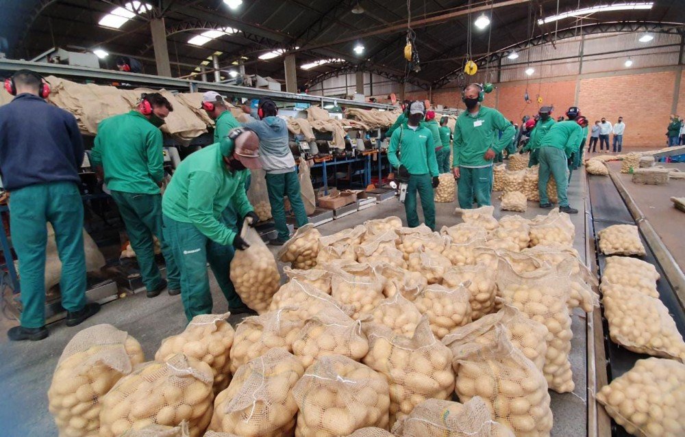 Bahia segue líder na geração de empregos no Nordeste com mais de 10 mil postos de trabalho em maio