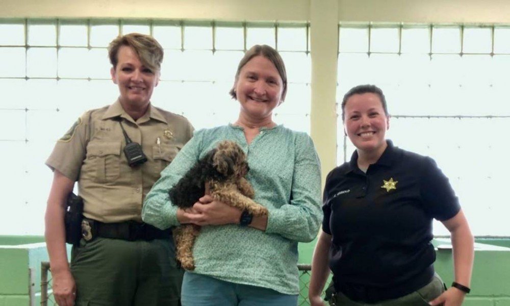 Cão é reencontrado sete anos depois a mais de mil quilometros de onde vivia