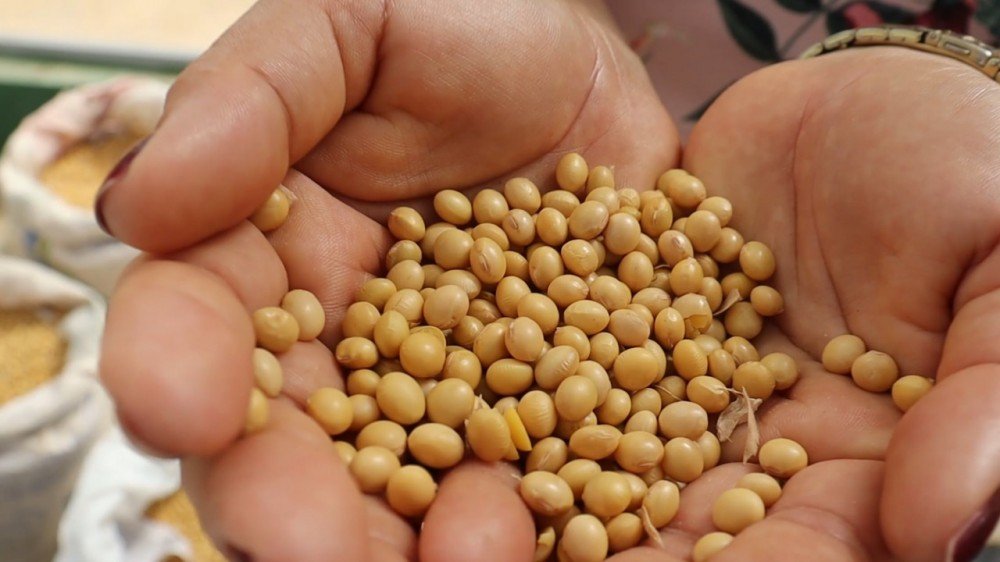 Minidocumentário retrata como a capacitação e integração da Ufob beneficiam o Polo Agroindustrial do São Francisco