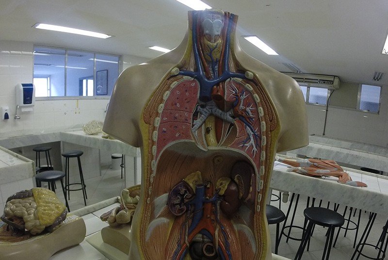 Inscrição para o Curso de Medicina em Alagoinhas vai até 06 de março de 2018.
