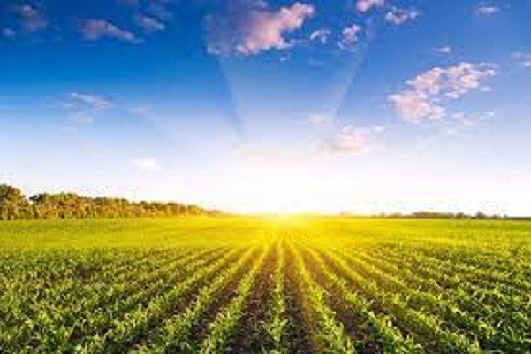 Agro brasileiro é a solução para mitigar as emissões de carbono e para as mudanças climáticas do país