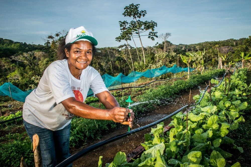 Agricultores familiares já podem aderir ao Garantia-Safra 2021/2022