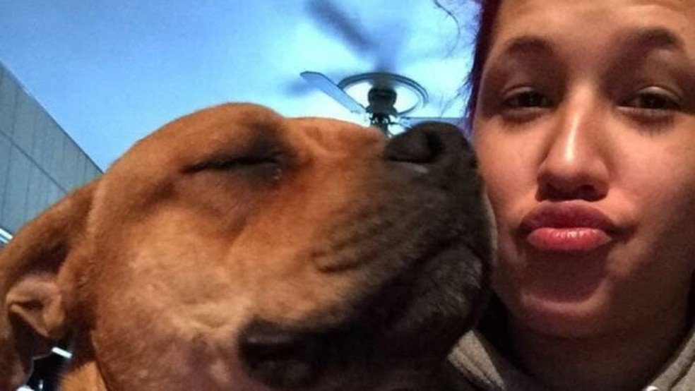 Mulher encontra cão perdido em 2019 enquanto procurava outro para adoção