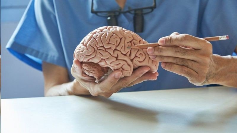 Covid-19 e suas sequelas - a linguagem dos recuperados pode ser afetada