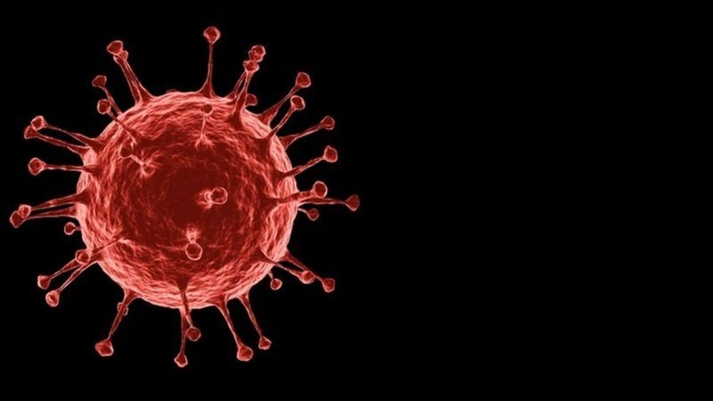 O que a Ciência aprendeu durante a pandemia