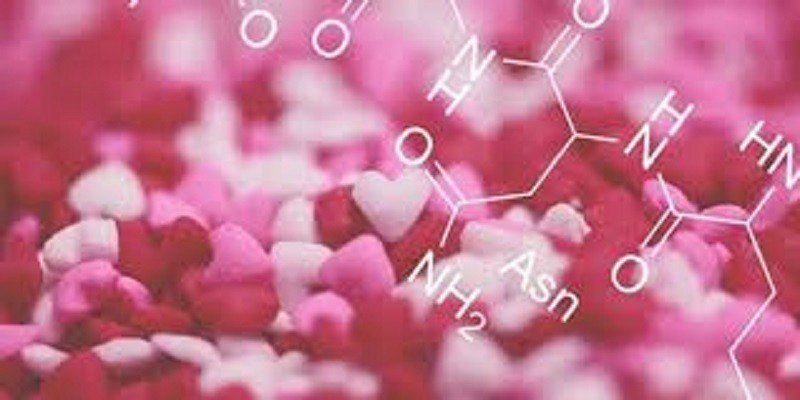 Saiba tudo sobre o hormônio do amor - ocitocina, que está presente em nosso cotidiano, por meio de contato social