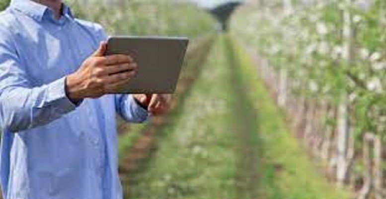 Empresa agro busca startups para parceria