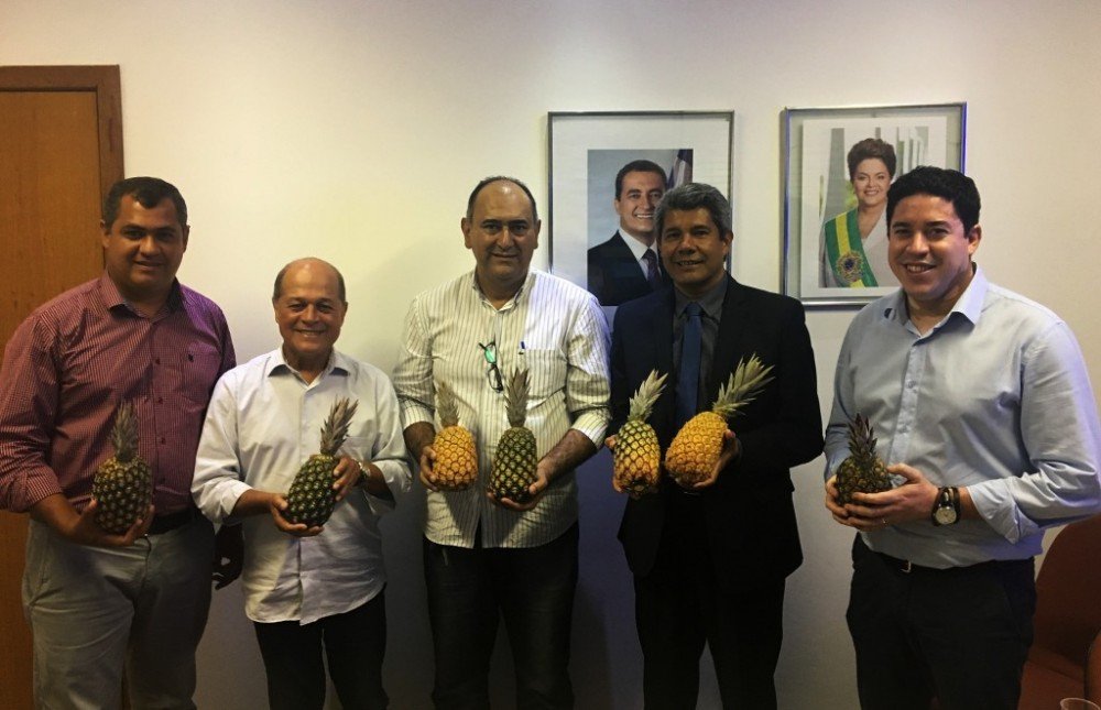 Com articulação de Joseildo, SDR fortalecerá produção de abacaxi em Umburanas