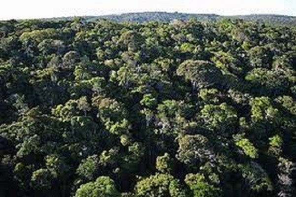 Maior área de conservação natural privada é reconhecida pelo Governo da Bahia