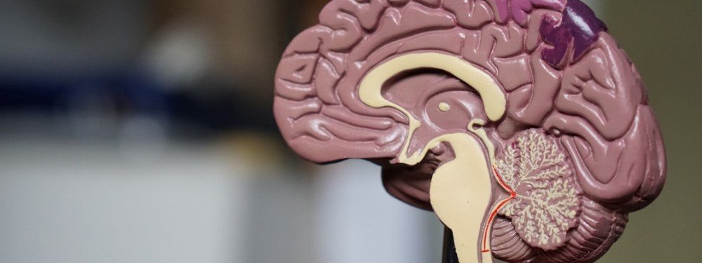 Alzheimer- descoberta versão mais agressiva da doença