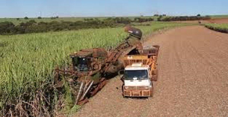 Otimista e incerto: cenário do agro para 2022