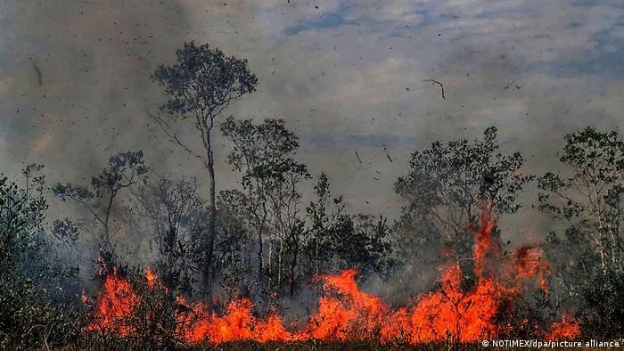 Incêndios florestais causam hospitalização de 47 mil brasileiros por ano