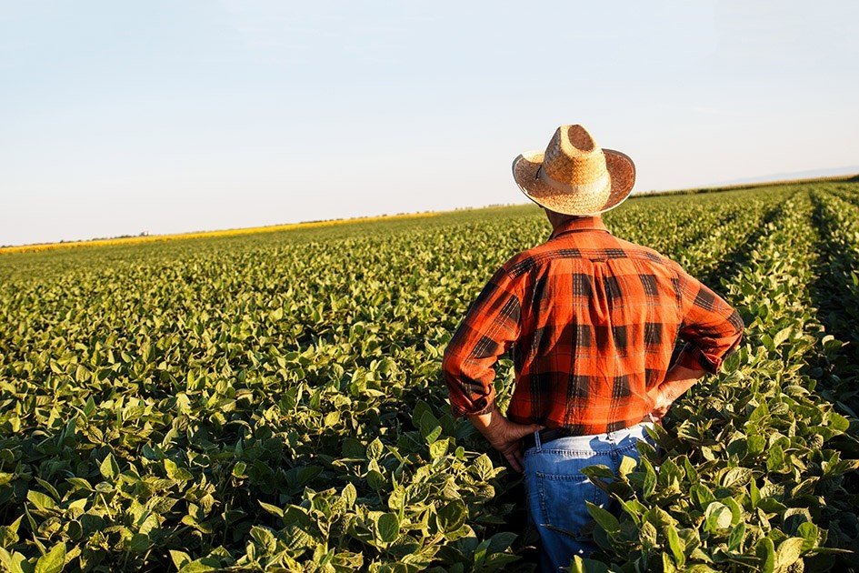 A importância da transformação digital no mundo agro