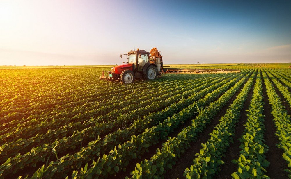 Lei do Agro: Títulos agrícolas chegam a novos setores do mercado
