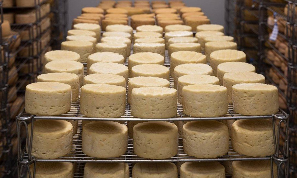 A gordura dos alimentos derivados do leite faz bem ao coração, indica estudo