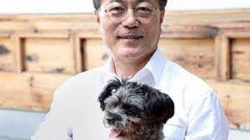 Presidente da Coreia do Sul sugere proibir carne de cachorro no país