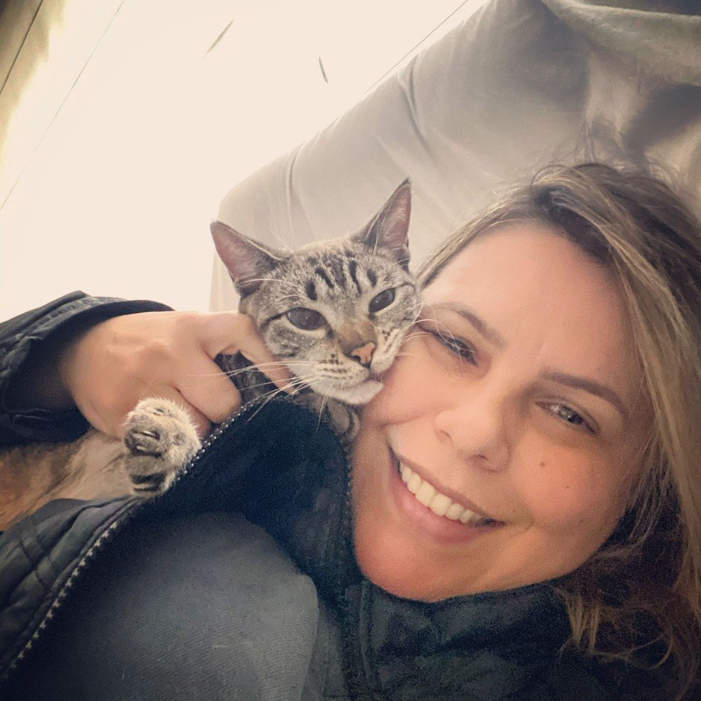 Inflação da alimentação pet dispara e cuidadores de animais pedem socorro