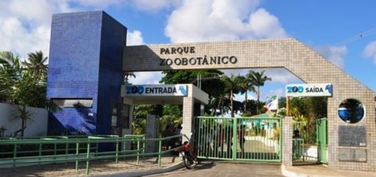 Zoológico de Salvador volta a funcionar a partir desta terça (19)