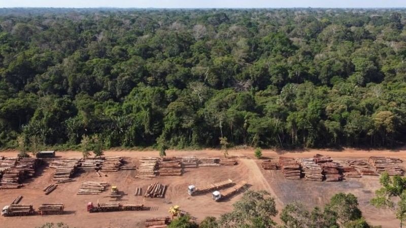 Brasil é 4º no mundo em ranking de emissão de gases poluentes desde 1850