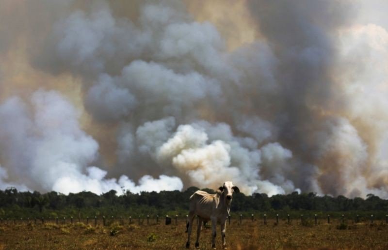 Brasil cortou 93% da verba para pesquisa em mudanças climáticas