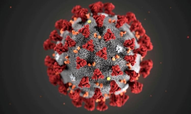 OMS alerta sobre nova fase de Covid-19 na Europa