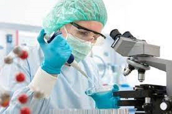 Vacina contra Alzheimer inicia fase de testes em humanos