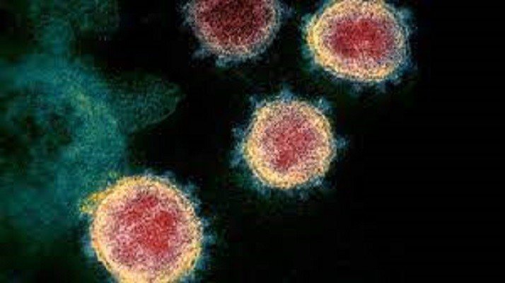 Anvisa confirma primeiro caso de brasileiro infectado com Covid vindo da África do Sul
