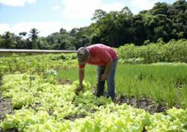 Pela primeira vez na história, Prefeitura de Alagoinhas realizará o Censo Rural