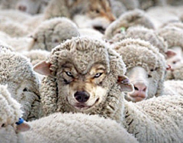 Lobista em pele de especialista