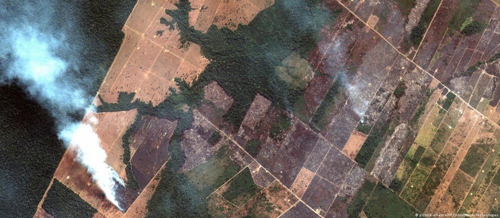 Desmatamento em áreas protegidas aumentou 79% sob Bolsonaro