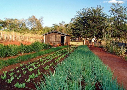 Aprovado a isenção de ITR para imóvel rural