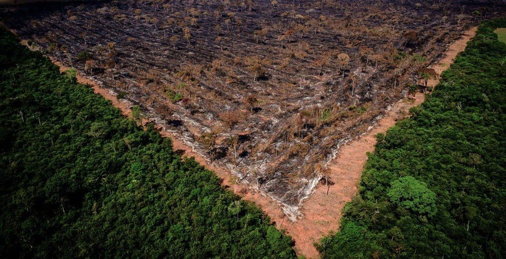 Desmatamento da Amazônia bate recorde para janeiro