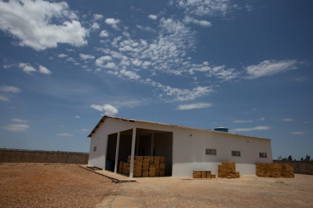 Bahia investe mais de R$ 61 milhões no sistema produtivo do mel