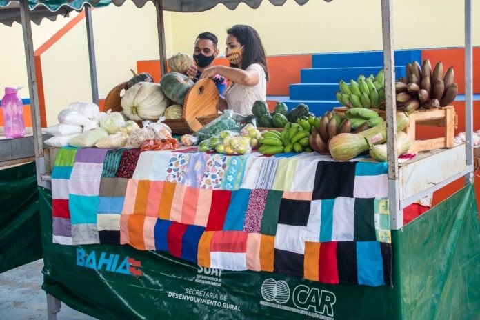 Agricultura familiar é destaque na 2ª Expo Belo Campo