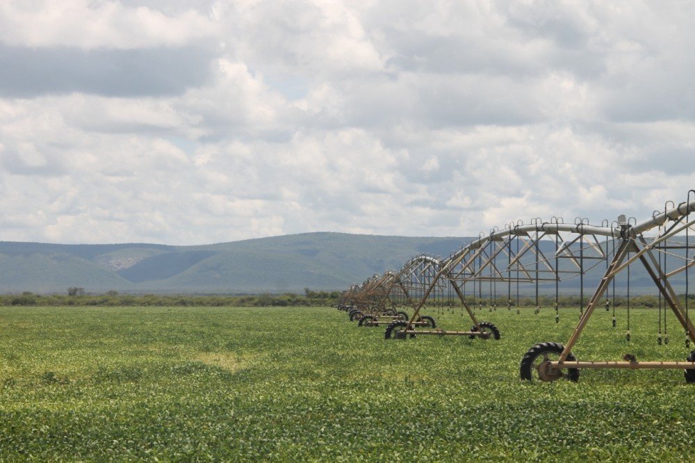 Empresários de cinco grupos investidores conhecem potencial do Polo Agroindustrial do São Francisco