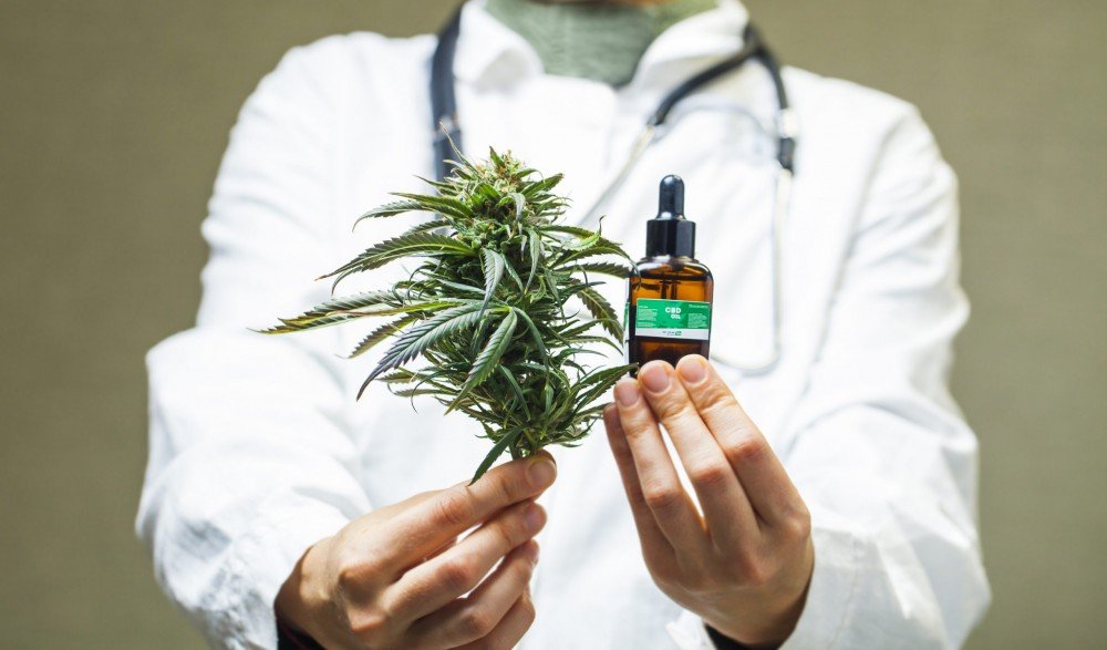 Cannabis pode movimentar US$ 128 bilhões até 2028