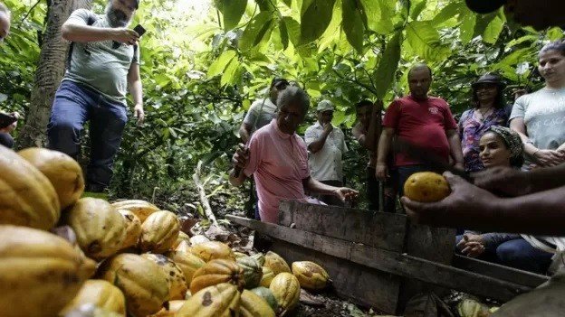 As técnicas agrícolas capazes de reduzir dependência do Brasil por fertilizantes