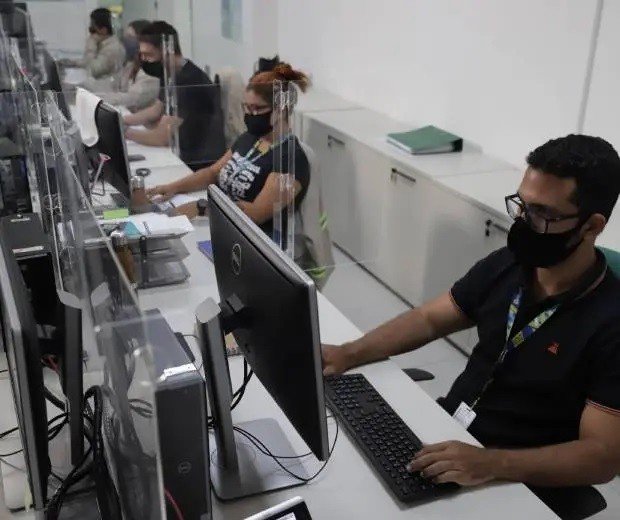 Bracell Bahia tem vagas de estágio em diversas áreas; Camaçari, Salvador e Alagoinhas