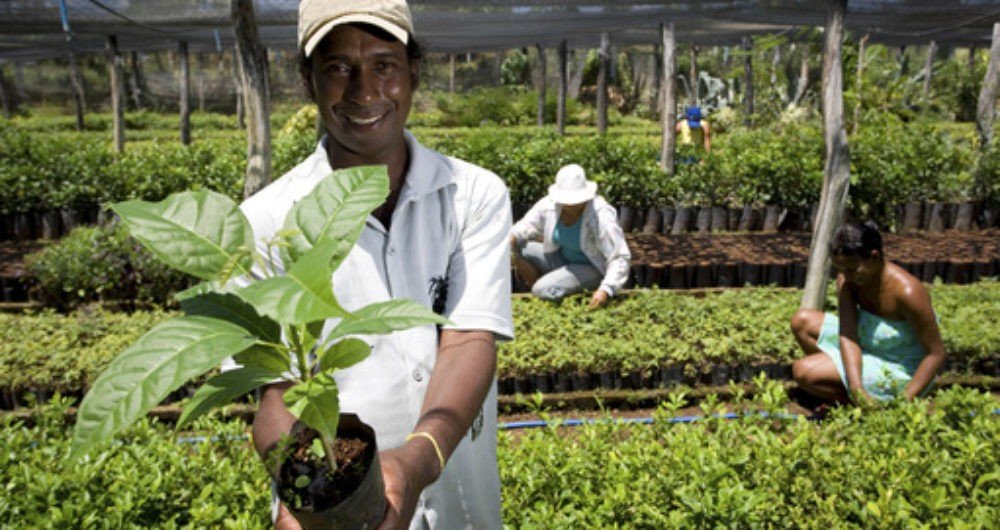 Mais de 130 mil famílias foram beneficiadas por programas da agricultura familiar nos últimos sete anos