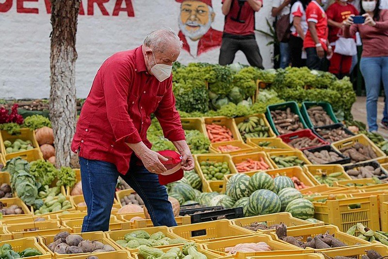 Lula tem 44% dos votos e segue com chances de vitória no 1º turno, diz pesquisa FSB/BTG